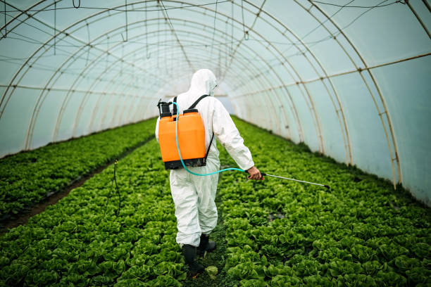 Best Affordable Pest Control Services  in Gunbarrel, CO