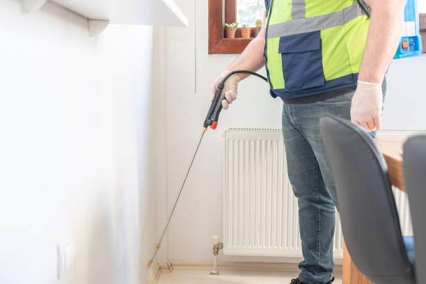 Best Flea Control Services  in Gunbarrel, CO