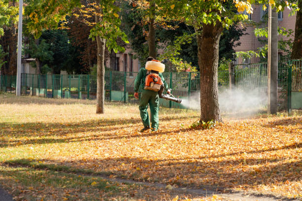 Pest Control for Restaurants in Gunbarrel, CO